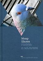 Онлайн книга - Голубь и Мальчик