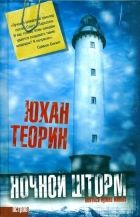 Онлайн книга - Ночной шторм