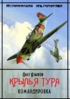 Онлайн книга - Крылья Тура. Командировка