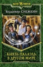 Онлайн книга - Князь Палаэль. В другом мире