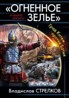 Онлайн книга - «Огненное зелье». Град Китеж против Батыя