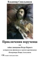 Онлайн книга - Приключения порученца, или Тайна завещания Петра В