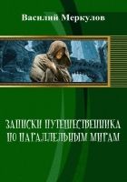 Онлайн книга - Записки путешественника по параллельным мирам (СИ)