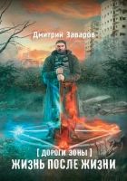 Онлайн книга - Дороги Зоны. Жизнь после жизни