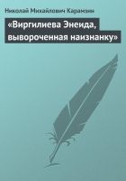 Онлайн книга - «Виргилиева Энеида, вывороченная наизнанку»