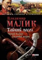 Онлайн книга - Тайный посол. Том 2