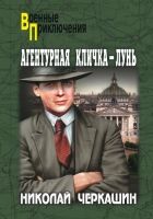 Онлайн книга - Агентурная кличка – Лунь (сборник)